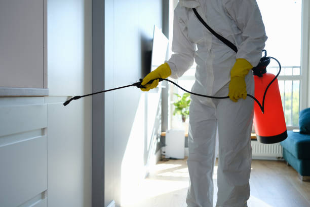 Best Certified Mold Removal  in West Rancho Dominguez, CA